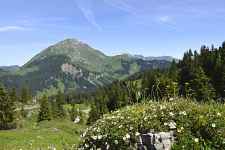 Journée Ecolovie - 21ème édition