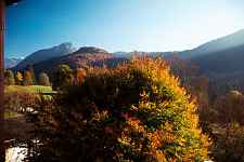 L'Edelweiss - 50 m² - n°212