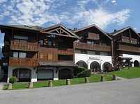 Edelweiss N°66 - Thuissard Fabienne