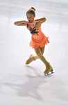 Tournoi de France de Patinage Artistique