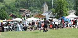 Vide grenier du bourg de chedde