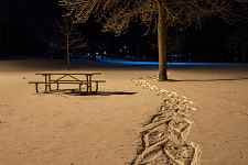 Nocturne en Raquette