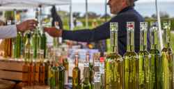 Folie(s) Végétales 2026 - Stand découverte de la distillation