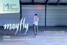 Stage Danse Contemporaine MAYFLY