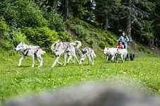 Initiation encadrée au cani'kart