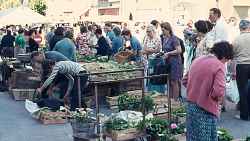 Nuit Européenne des musées - Conférence : Histoire des foires et des marchés de Haute-Savoie
