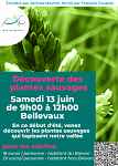 Découverte des plantes sauvages