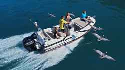 Escapade en bateau avec les oiseaux migrateurs