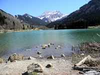 Fées, elfes et farfadets - spécial groupes