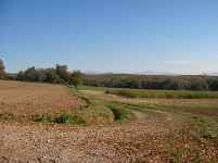 Boucle pédestre : détective nature