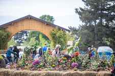 Folie(s) Végétales 2026 - Stand d'artisanat végétal