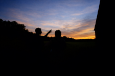 Nuit Safari