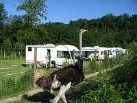 Aire de service/accueil - camping-car