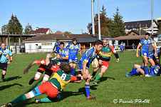 Rugby Club Thonon Chablais-Léman