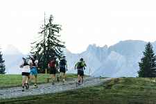 Le Bélier Trail & Rando