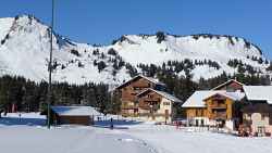 Les Marmottes - 35 m² - n°600