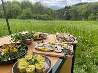 Atelier de cuisine de plantes comestibles