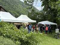 Festival Les Nuits des Forêts