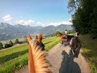 Promenade en calèche et visite des écuries