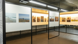 Exposition photo - Beauté du monde vivant