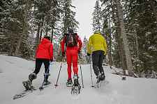 Sortie raquettes à neige