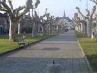 Foirail de Gaillard