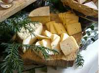 Balcons du Mont-Blanc