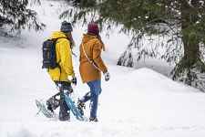 Itinéraire raquettes - Bords de Dranse