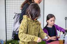 Folie(s) Végétales 2026 - Atelier fabrication de déodorant naturel