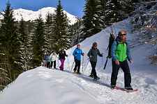 Bureau de la Montagne de la vallée d'Abondance - Regroupement d'accompagnateurs en moyenne montagne