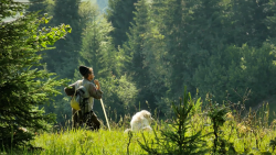 Conférence : Comment donner une voix à la vie sauvage ?