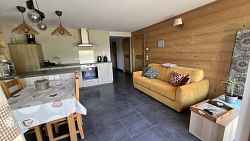 Chalet du Pic "L'Etable" - 53m² - n°477