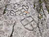 La Croix des Chartreux