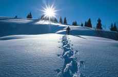 Sortie raquettes Petits Lapons enfant