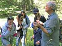 Balade familiale : Découverte des plantes sauvages