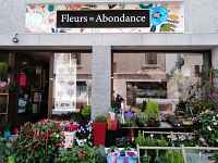 Fleurs en Abondance