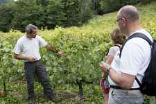Les secrets du vignoble de Féternes