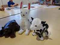 Stage - créafun - enfant