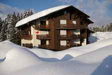 L'Orée des bois - 39 m² - n°623