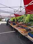 Marché de Chedde à Passy