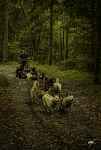 Cani Kart