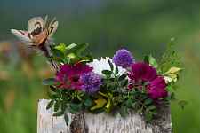 Atelier : création déco jardin, boule végétale