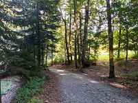 Sentier VTT : boucle du Bois de Fessy