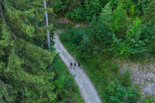 Randonnée pédestre : Boucle verte des écureuils
