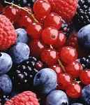 Rando naturaliste : Cueillette et cuisine sauvage - Groupe