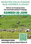 Montée en alpages aux Ayères