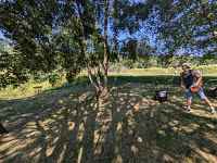 Initiation au disc-golf
