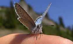 Randonnée pour découvir la vie de la montagne