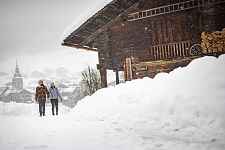 La Maison du patrimoine : Visite guidée
