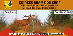 Soirées brame du cerf